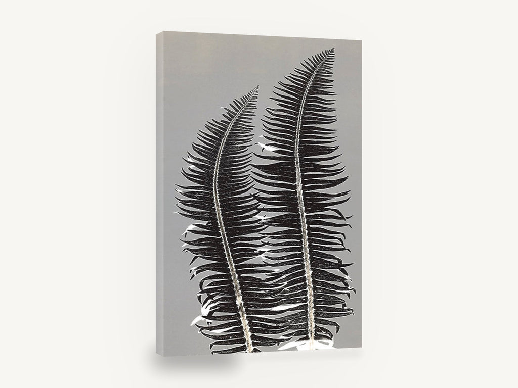 Twin Fern Silhouettes, black fern fronds on grey botanical, floral canvas wall art print ready to hang