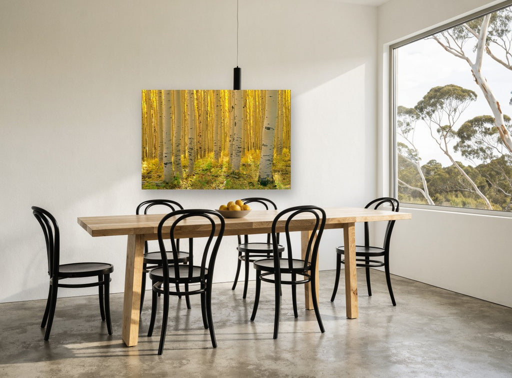Sunlit Aspen Corridor landscape canvas print on the wall of a dining room