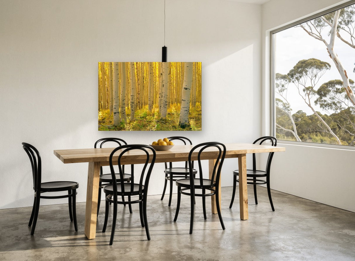 Sunlit Aspen Corridor landscape canvas print on the wall of a dining room