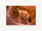 Glowing Canyon Curves, sandstone slot canyon photograph, landscape canvas wall art print, front view