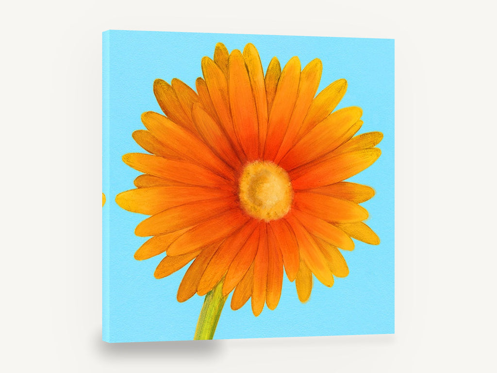 Orange Gerbera Sky, orange daisy flower blue background, floral canvas wall art print ready to hang