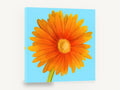 Orange Gerbera Sky, orange daisy flower blue background, floral canvas wall art print ready to hang
