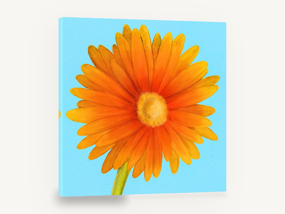 Orange Gerbera Sky, orange daisy flower blue background, floral canvas wall art print ready to hang