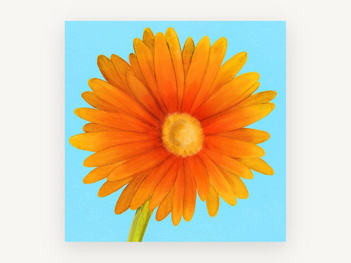 Orange Gerbera Sky, floral canvas wall art print, front view