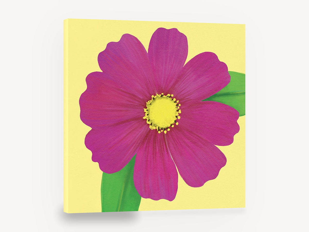 Magenta Cosmos Bloom, magenta cosmos flower yellow background, floral canvas wall art print ready to hang