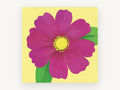 Magenta Cosmos Bloom, floral canvas wall art print, front view