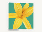 Golden Lily on Teal, yellow lily flower teal background, floral canvas wall art print ready to hang