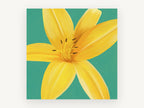 Golden Lily on Teal, floral canvas wall art print, front view