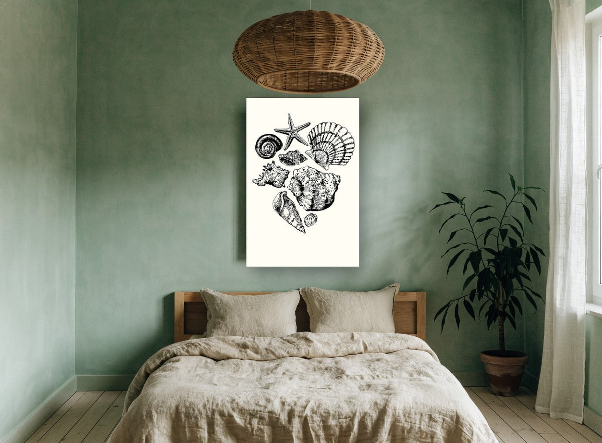 Shell Collection Sketch coastal canvas print on the wall of a bedroom