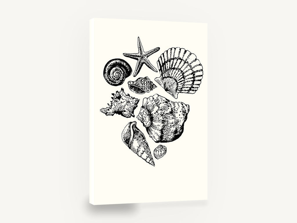 Shell Collection Sketch, seashells and starfish ink illustration, coastal canvas wall art print ready to hang