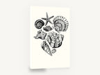 Shell Collection Sketch, seashells and starfish ink illustration, coastal canvas wall art print ready to hang