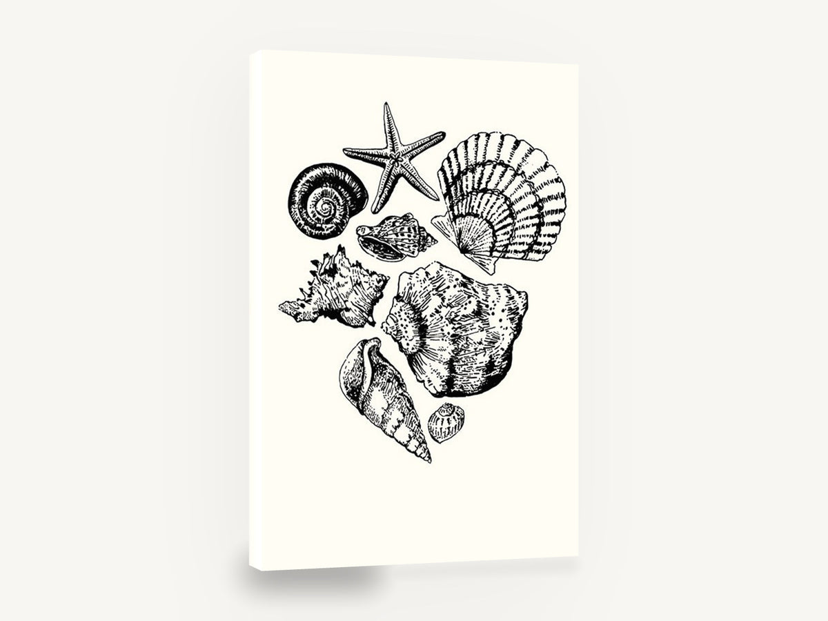 Shell Collection Sketch, seashells and starfish ink illustration, coastal canvas wall art print ready to hang