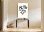 Shell Collection Sketch coastal canvas print on the wall of a hallway