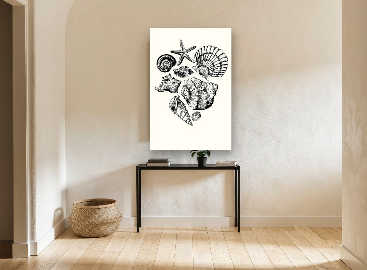 Shell Collection Sketch coastal canvas print on the wall of a hallway