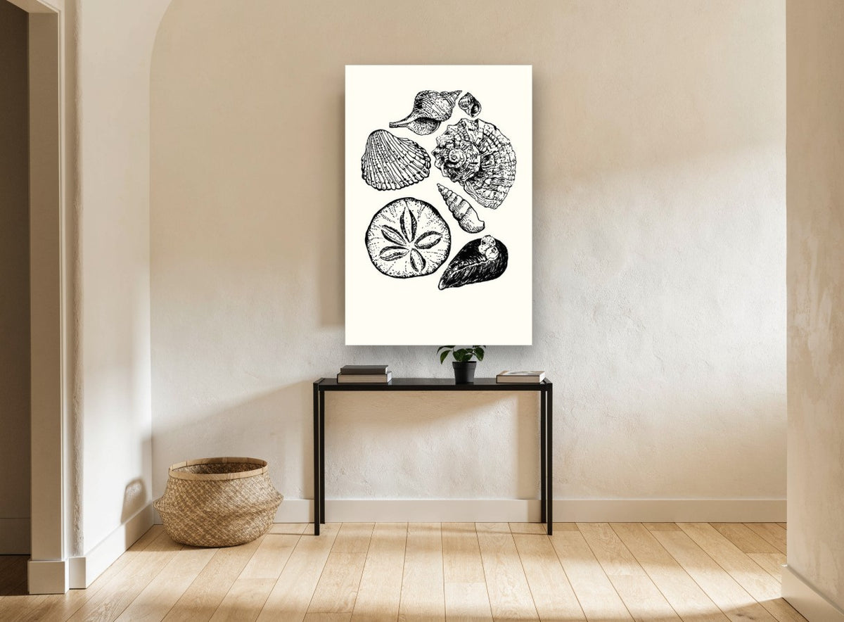 Shell Collection Study coastal canvas print on the wall of a hallway