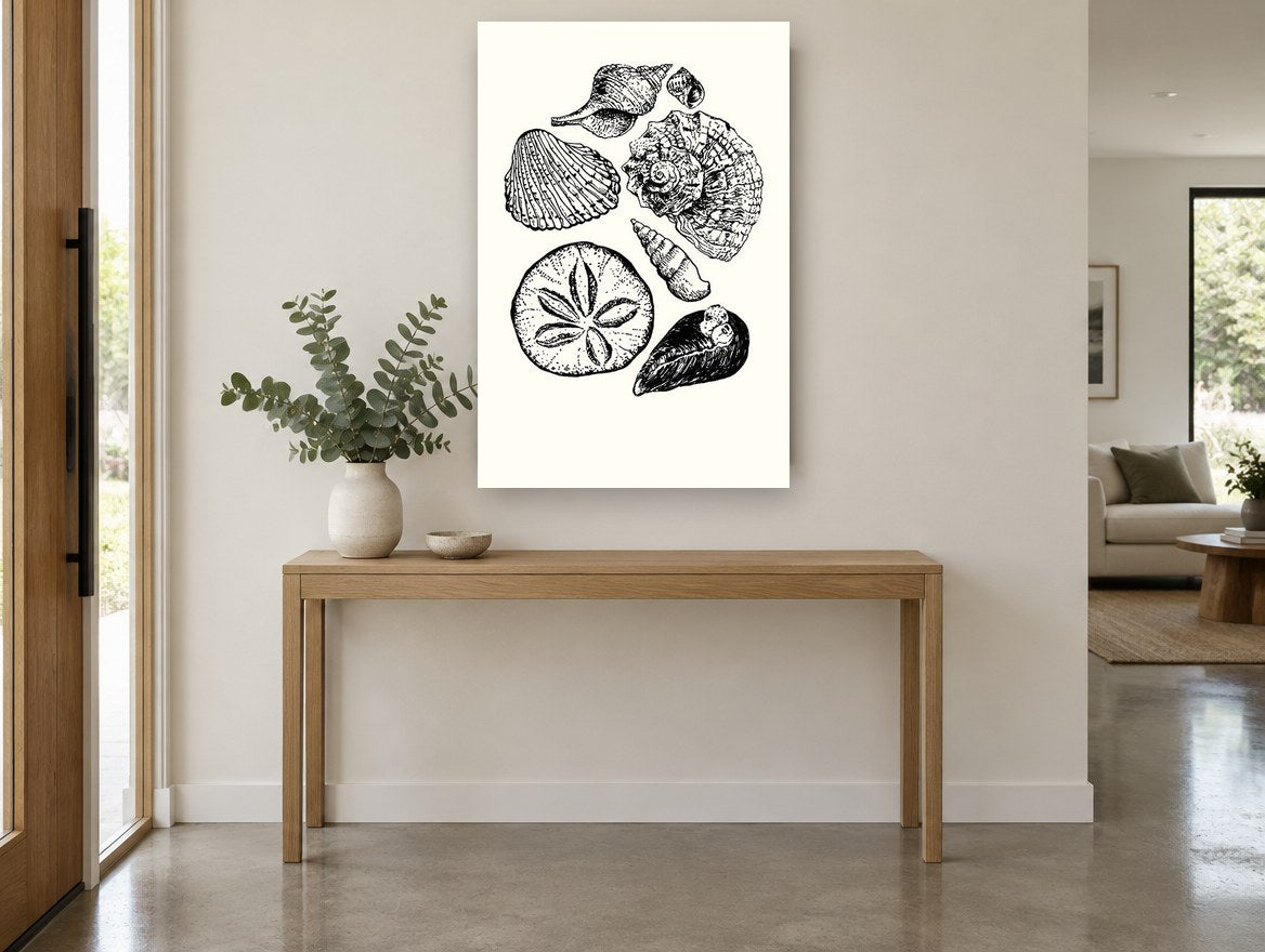 Shell Collection Study coastal canvas print on the wall of a entry hall