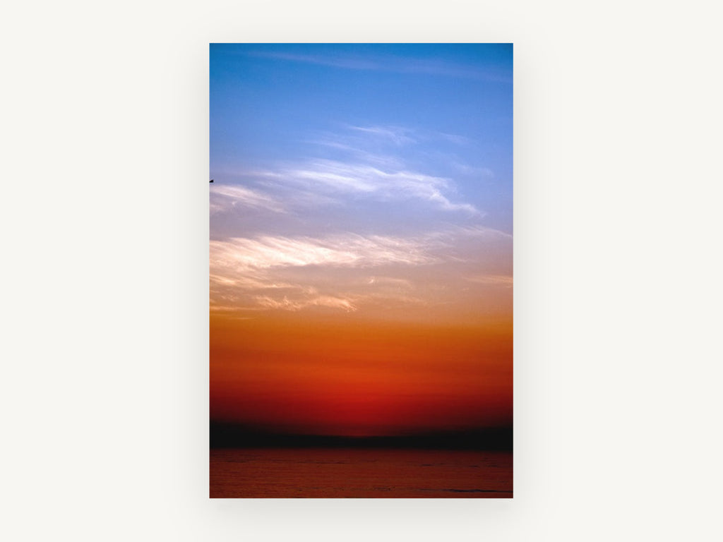 Lone Bird Dusk, coastal canvas wall art print, front view