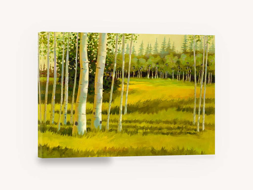 Birch Meadow Glow, sunlit birch grove meadow painting, landscape canvas wall art print ready to hang