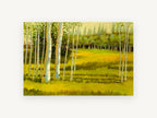 Birch Meadow Glow, sunlit birch grove meadow painting, landscape canvas wall art print, front view