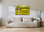 Birch Meadow Glow landscape canvas print on the wall of a living room