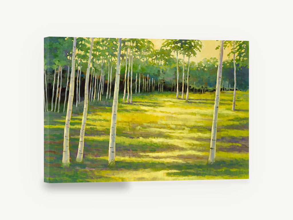 Birch Glade Light, sunlit birch grove landscape painting, landscape canvas wall art print ready to hang