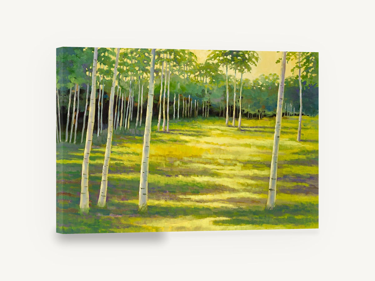 Birch Glade Light, sunlit birch grove landscape painting, landscape canvas wall art print ready to hang