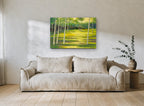 Birch Glade Light landscape canvas print on the wall of a living room