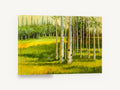 Aspen Light Meadow, birch trees sunlit meadow artwork, landscape canvas wall art print ready to hang