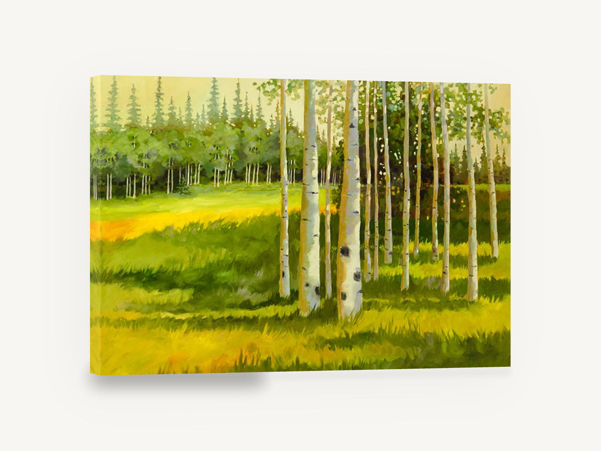 Aspen Light Meadow, birch trees sunlit meadow artwork, landscape canvas wall art print ready to hang