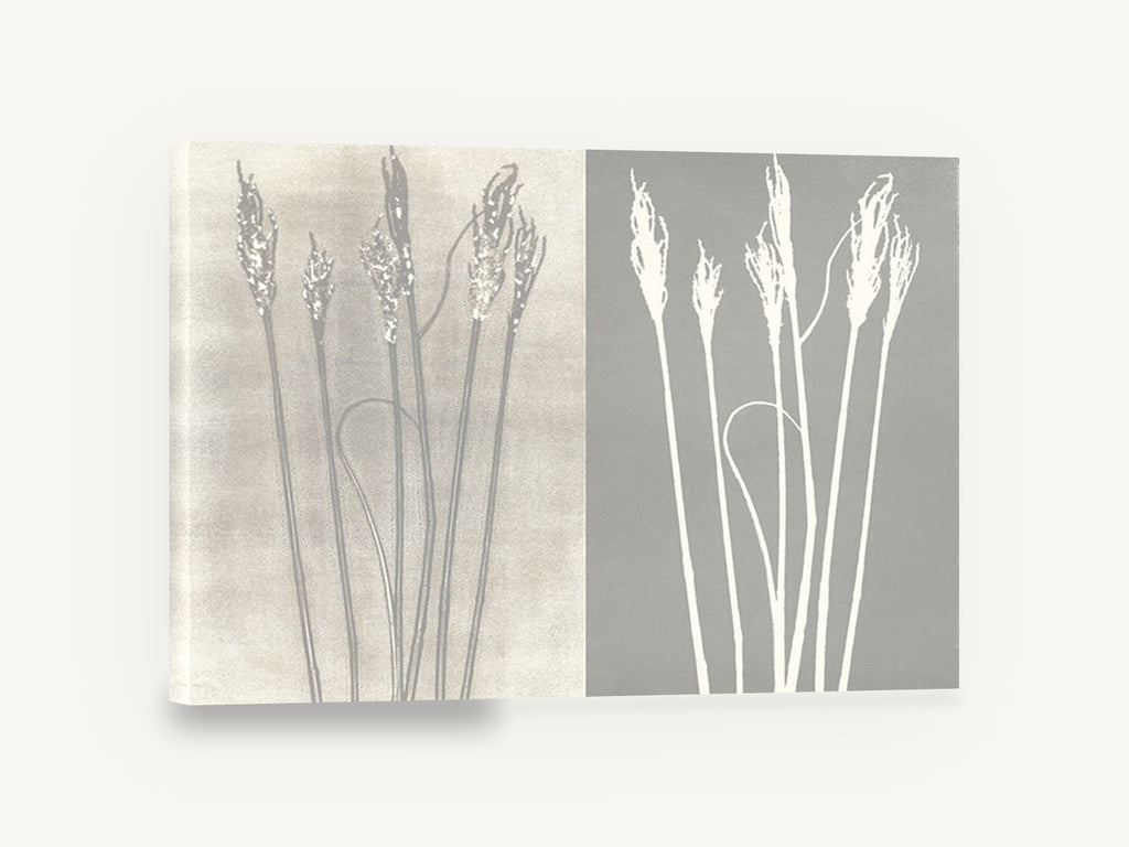 Grass Seedhead Pair, grass seedheads negative silhouette botanical, floral canvas wall art print ready to hang