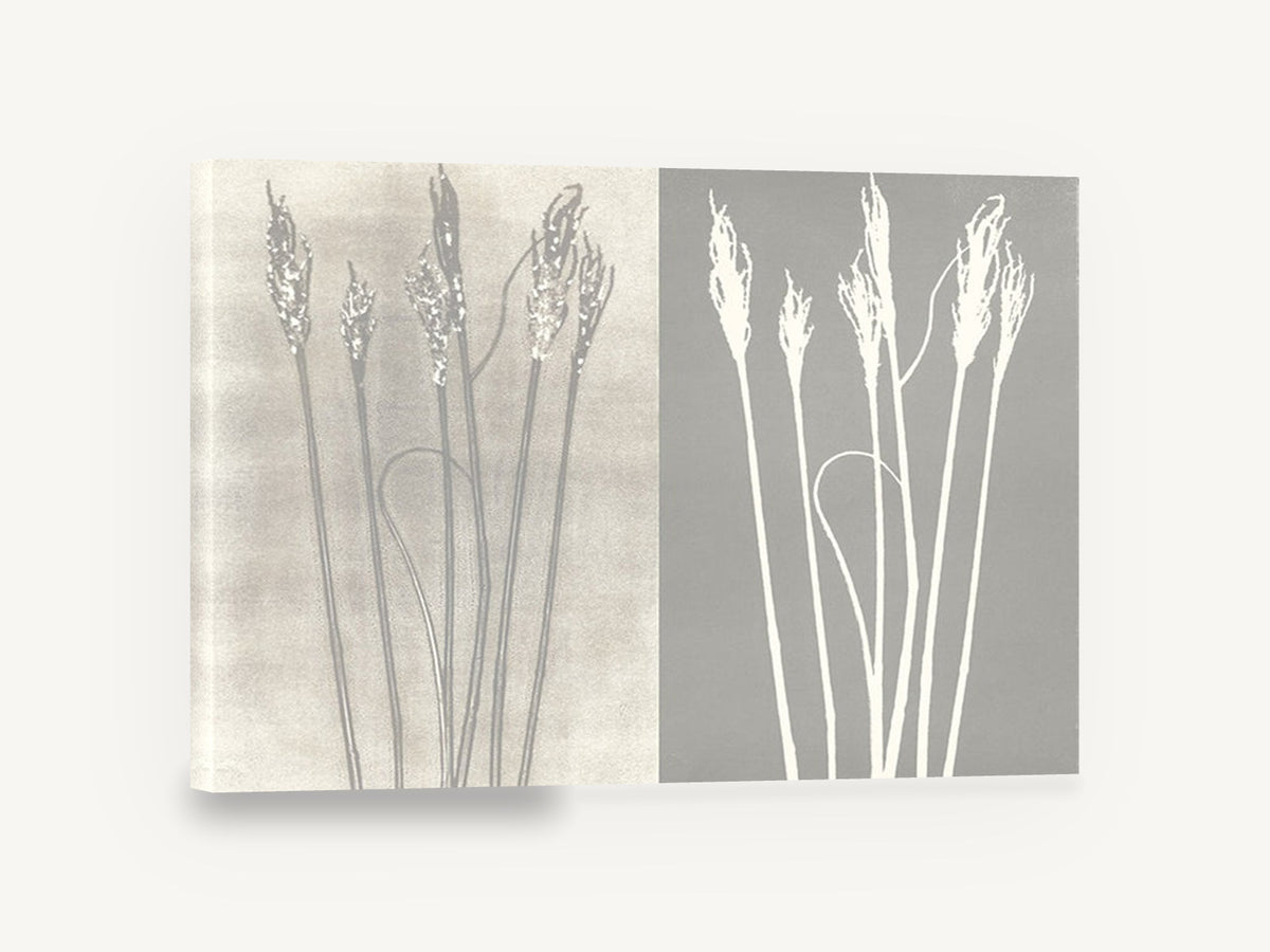 Grass Seedhead Pair, grass seedheads negative silhouette botanical, floral canvas wall art print ready to hang