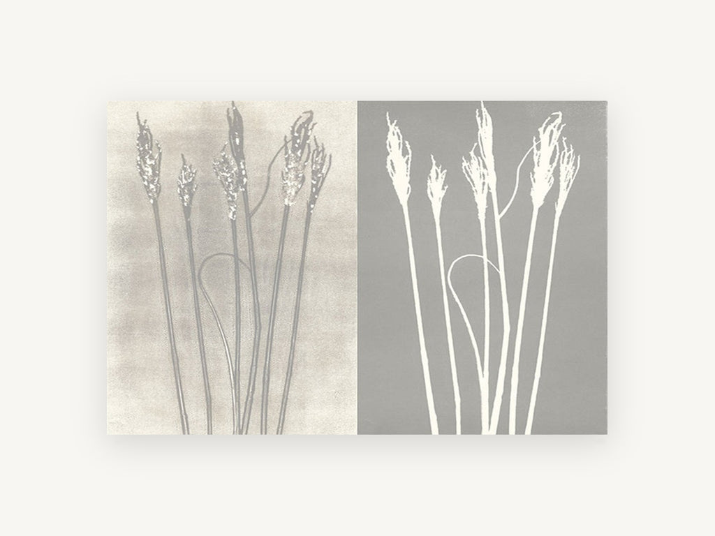 Grass Seedhead Pair, floral canvas wall art print, front view