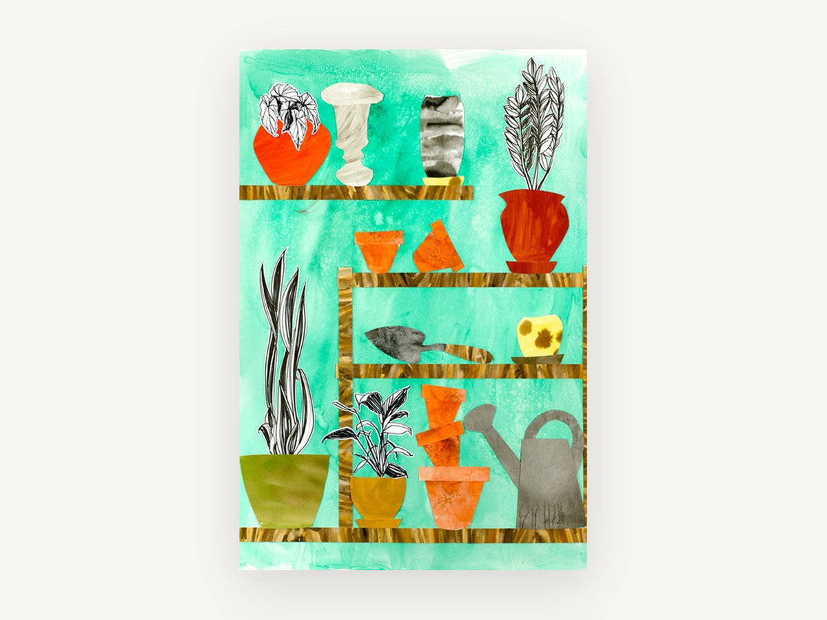 Potting Shed Shelves, floral canvas wall art print, front view