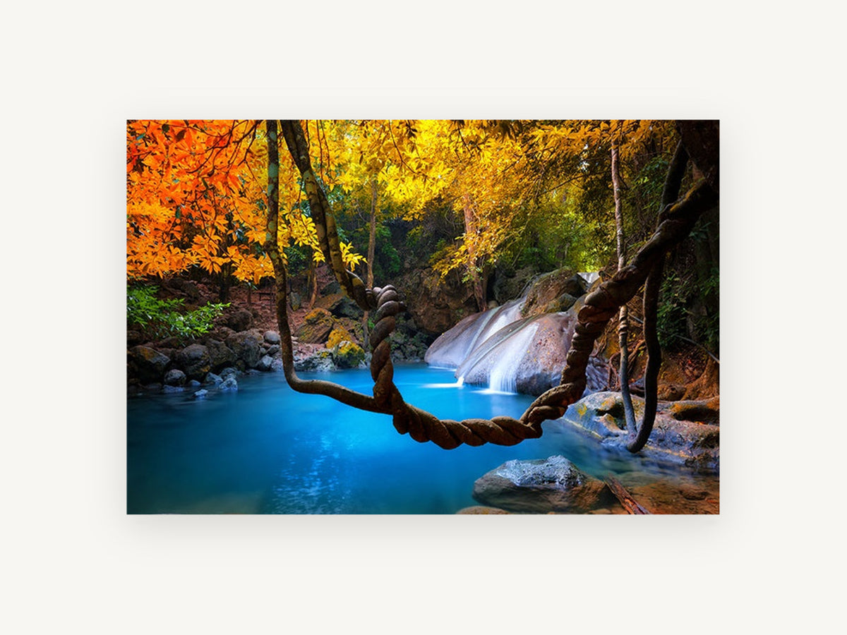 Turquoise Pool Vine, jungle waterfall turquoise pool photograph, landscape canvas wall art print, front view