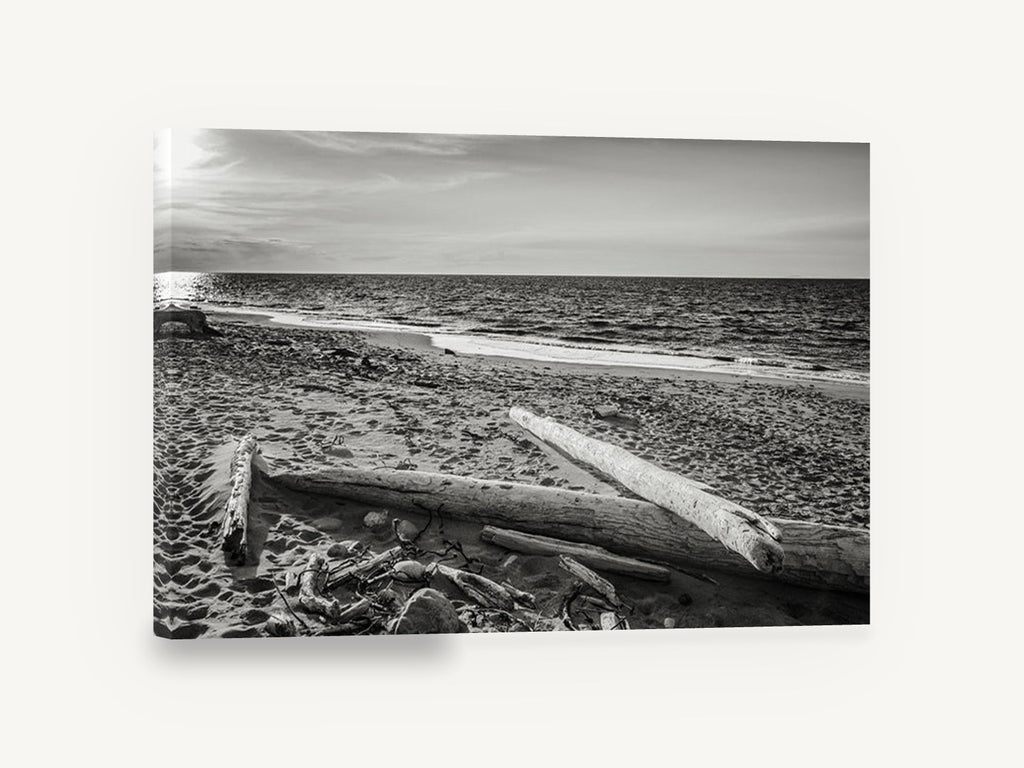 Driftwood Shore Light, driftwood beach black and white photograph, coastal canvas wall art print ready to hang