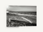 Driftwood Shore Light, driftwood beach black and white photograph, coastal canvas wall art print ready to hang