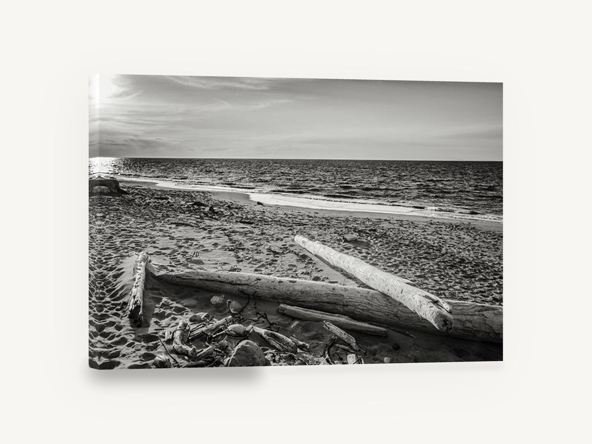 Driftwood Shore Light, driftwood beach black and white photograph, coastal canvas wall art print ready to hang