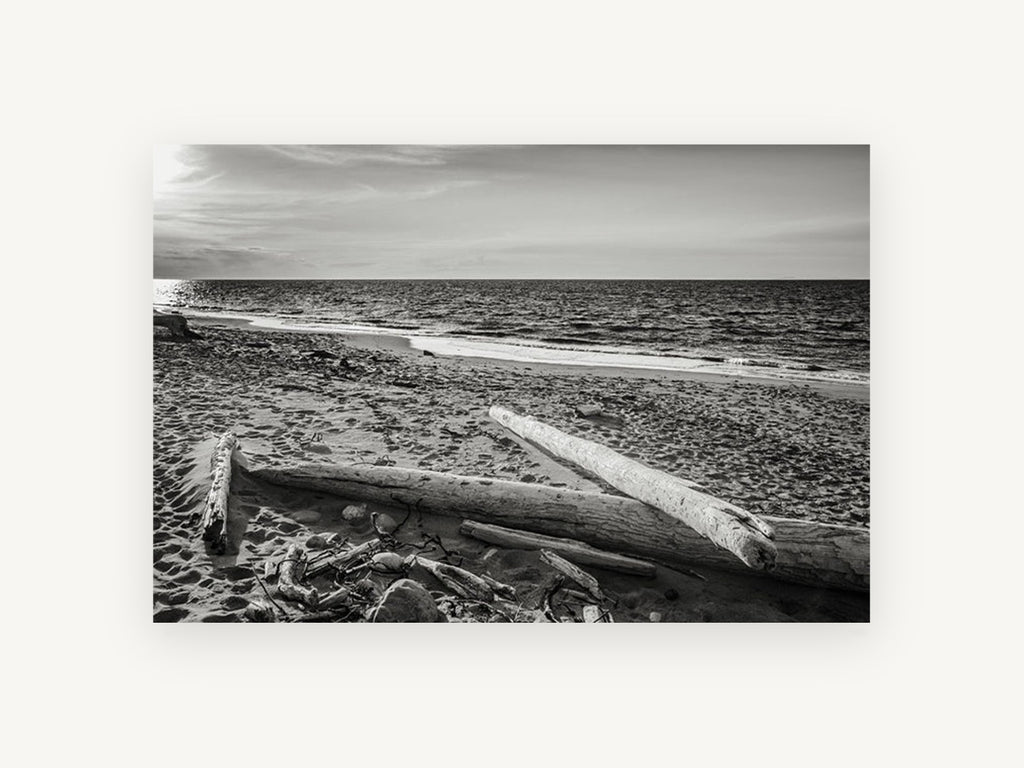 Driftwood Shore Light, coastal canvas wall art print, front view
