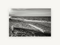 Driftwood Shore Light, coastal canvas wall art print, front view