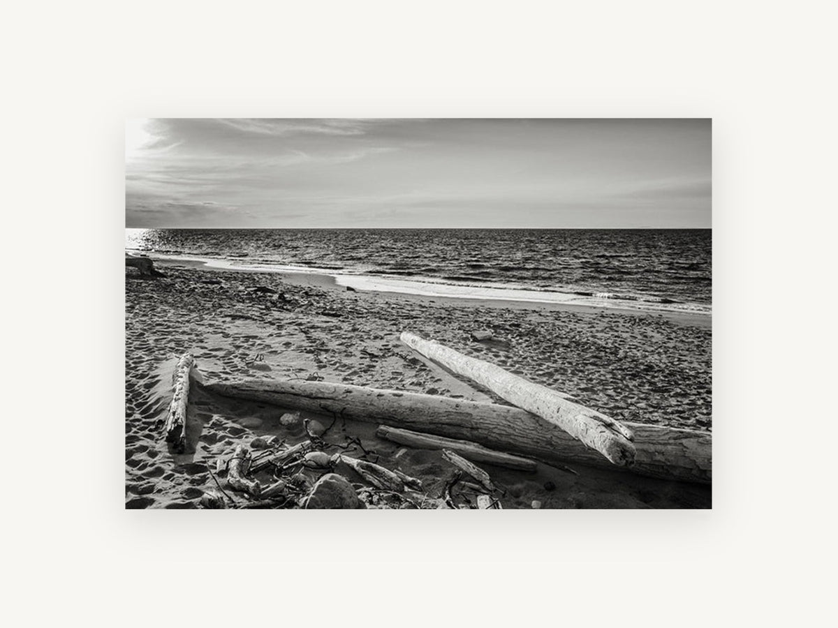 Driftwood Shore Light, coastal canvas wall art print, front view