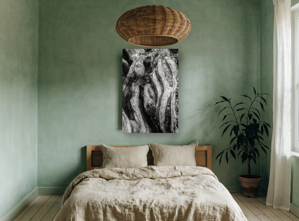 Twisted Root Folds landscape canvas print on the wall of a bedroom