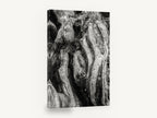 Twisted Root Folds, gnarled tree trunk black and white photograph, landscape canvas wall art print ready to hang