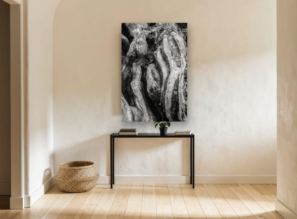 Twisted Root Folds landscape canvas print on the wall of a hallway
