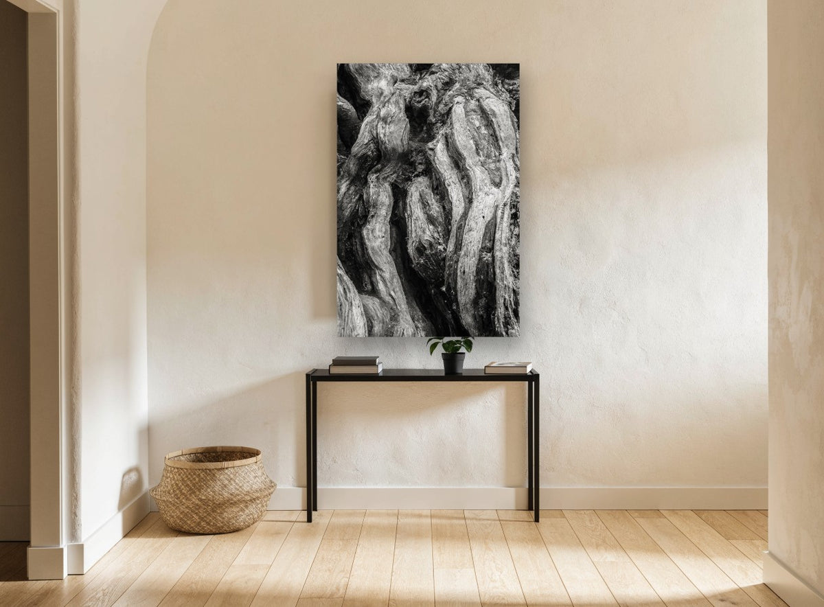 Twisted Root Folds landscape canvas print on the wall of a hallway