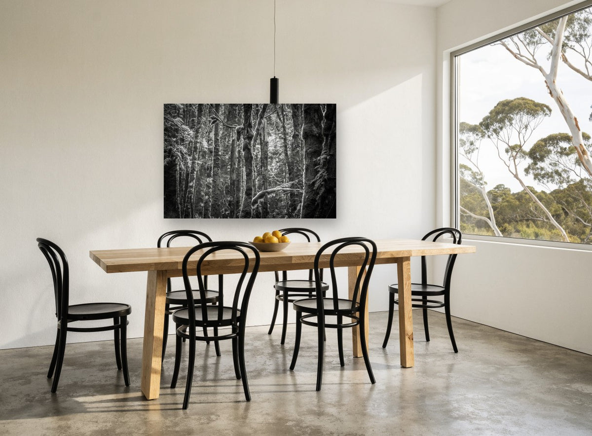 Mossy Trunks Monochrome landscape canvas print on the wall of a dining room
