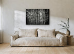 Mossy Trunks Monochrome landscape canvas print on the wall of a living room
