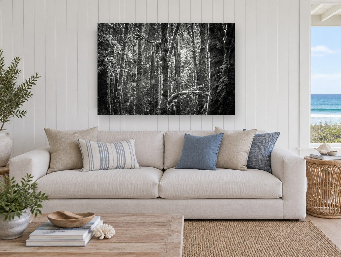 Mossy Trunks Monochrome landscape canvas print on the wall of a beach house living room