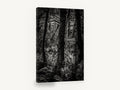 Fern Light Woodland, black and white forest photograph, landscape canvas wall art print ready to hang