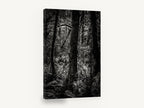 Fern Light Woodland, black and white forest photograph, landscape canvas wall art print ready to hang