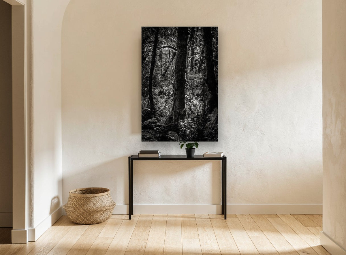 Fern Light Woodland landscape canvas print on the wall of a hallway